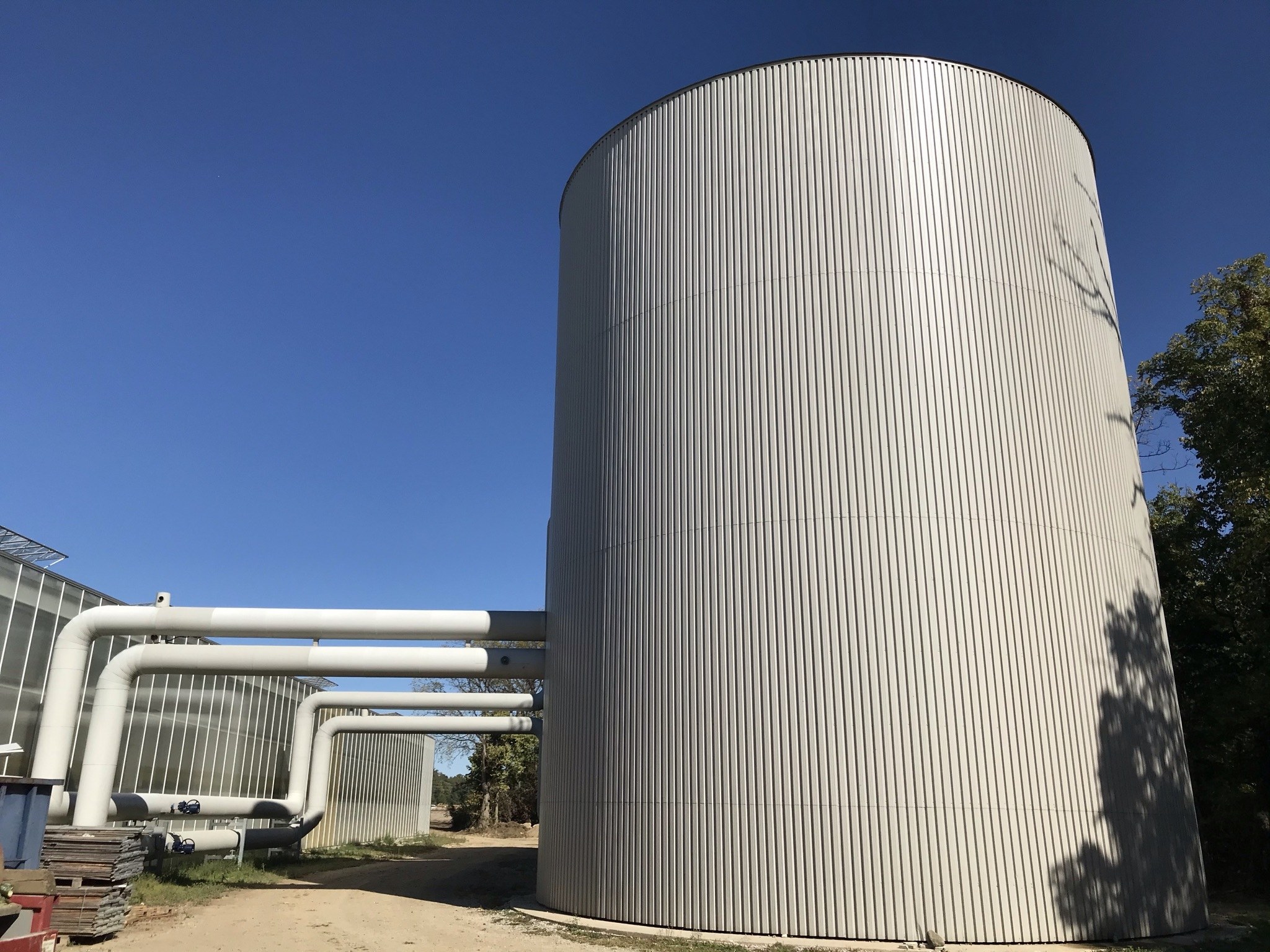 5 Sustainable Ways to Increase Greenhouse Efficiency and Cut Costs