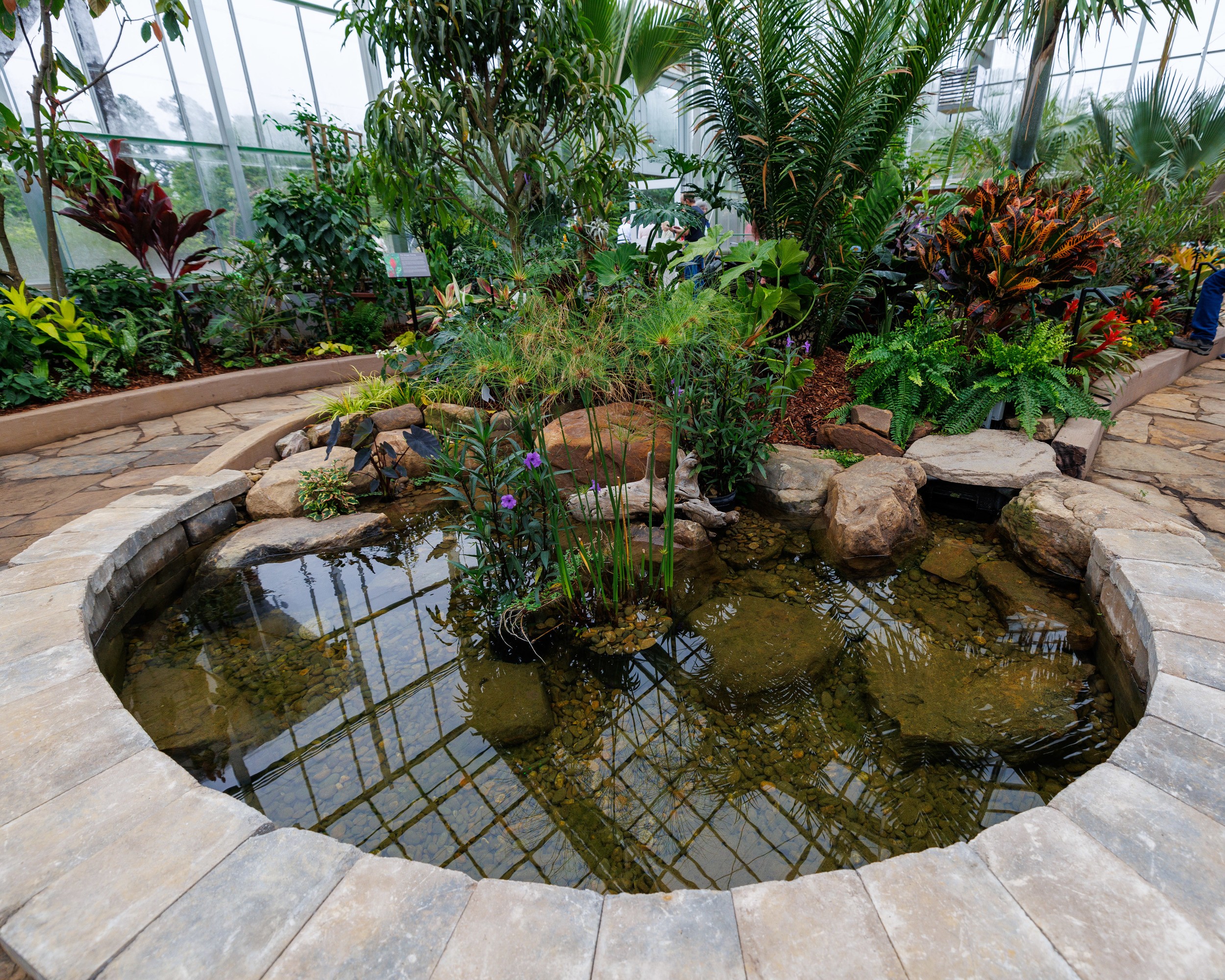 A pond feature in the Memphis Botanic Garden greenhouse adds a peaceful element to the plant displays.