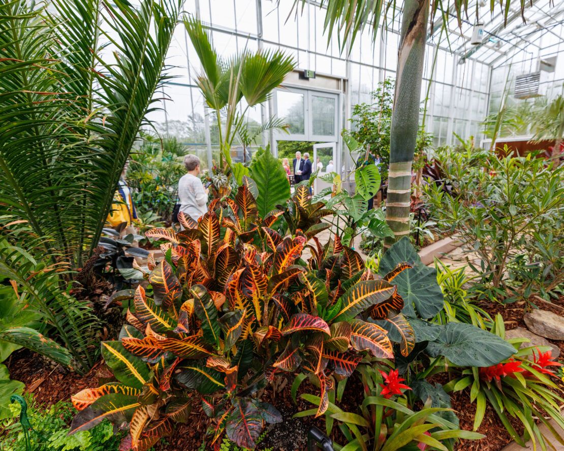 Memphis Botanic Garden-GlassHouse-7681 - Prospiant Visitors enjoy the new Memphis Botanic Garden greenhouse, which opened to the public in May of 2024.