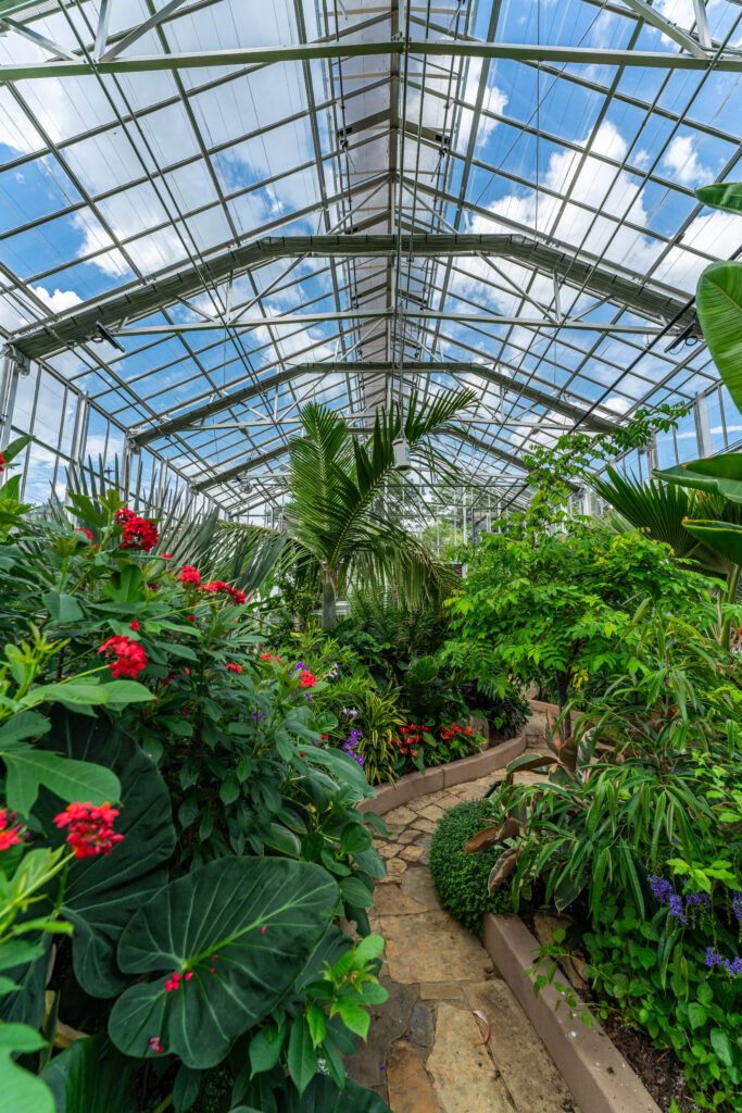Prospiant-Memphis Botanic Garden--27 - Prospiant View of main bay in conservatory glasshouse with plantings and winding stone trail