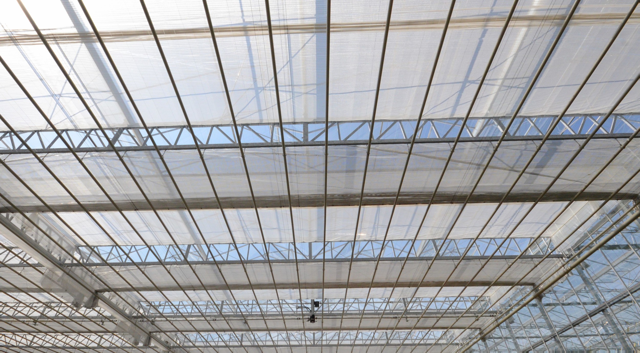 Screen system in Venlo greenhouse
