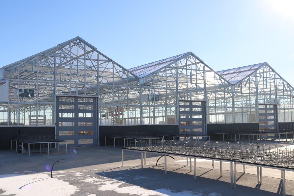 Plant benches and irrigation lines in front of three Vail greenhouses with overhead doors