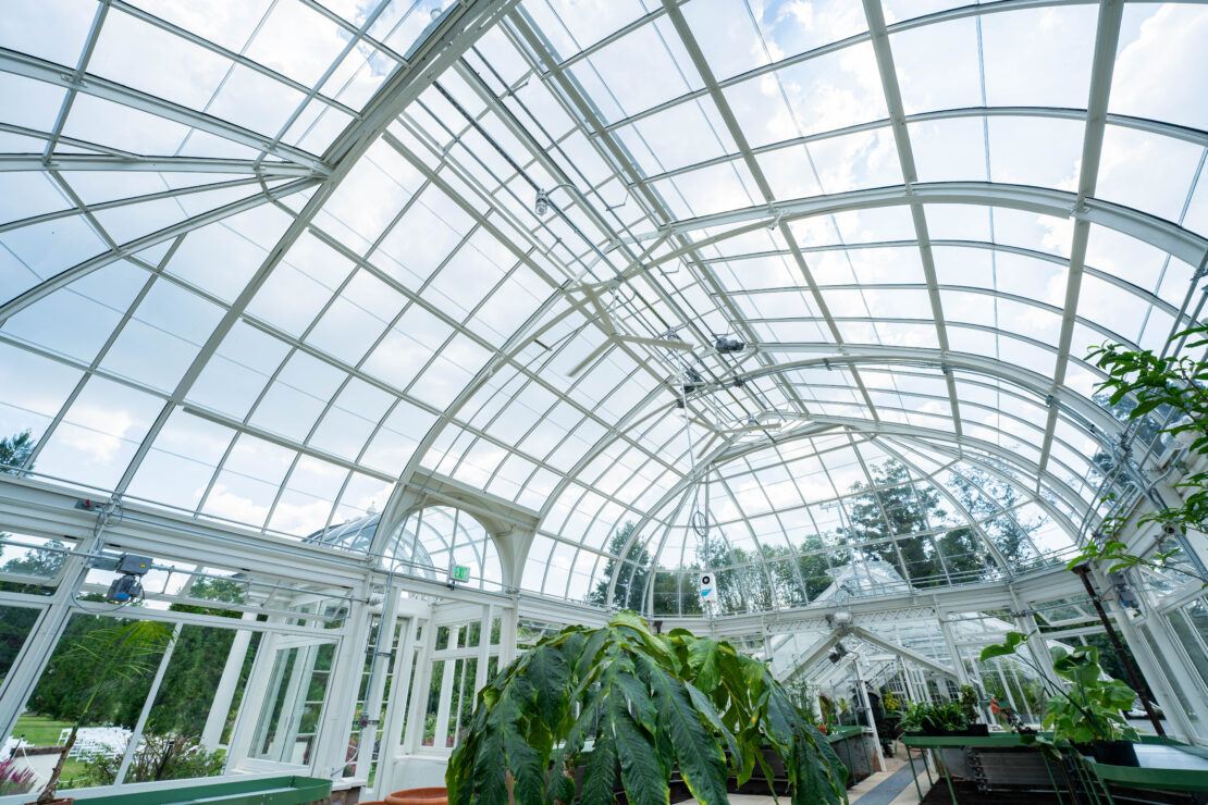 The Main Conservatory at Reynolda has soaring, curved ceilings