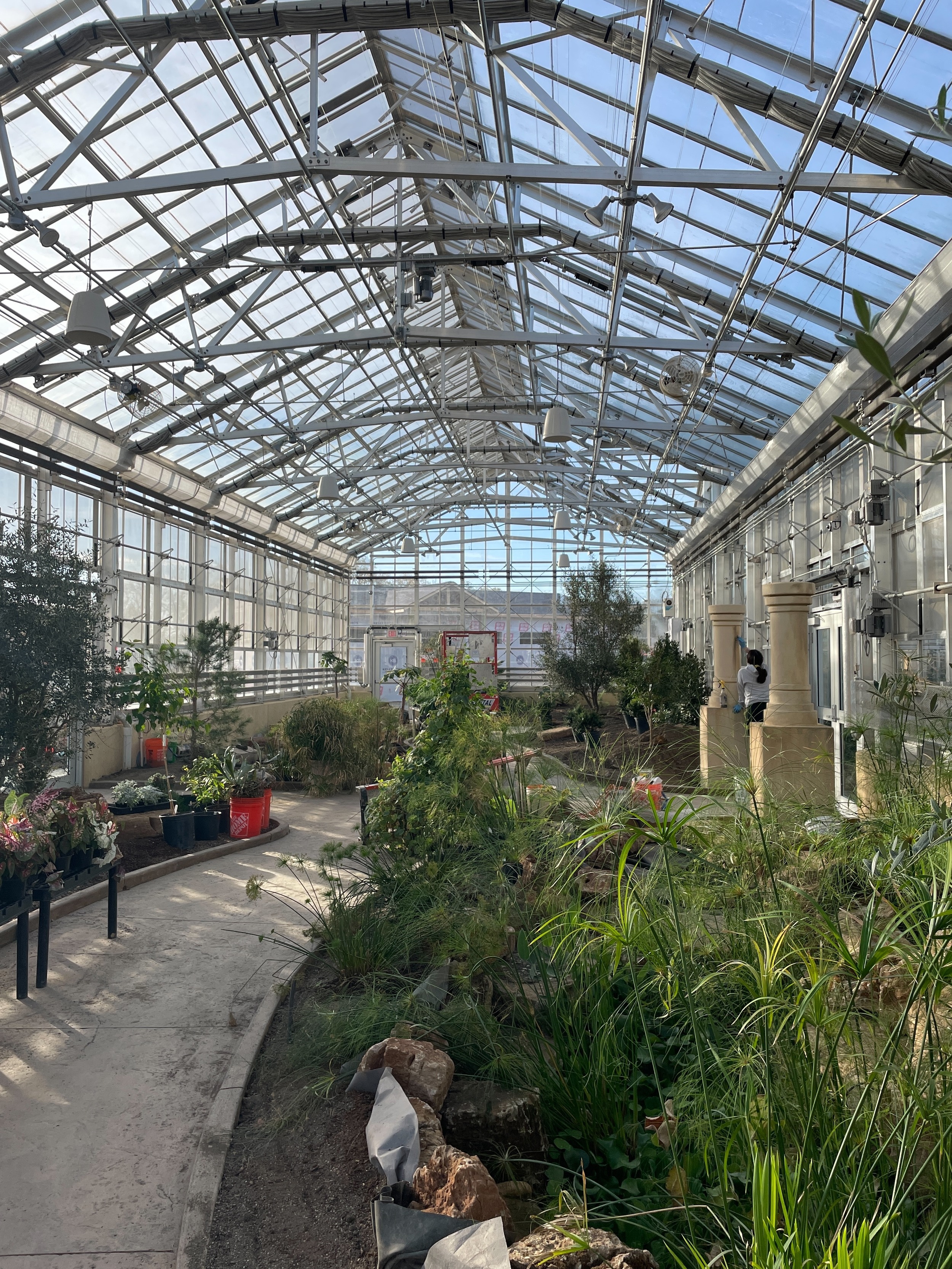 Staff stock one of the Creation Museum greenhouses with examples of plants mentioned in the Bible.