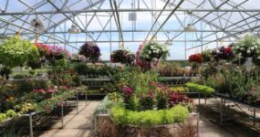 Down to Earth uses Vail greenhouses to sell plants and hold classes and events year-round.