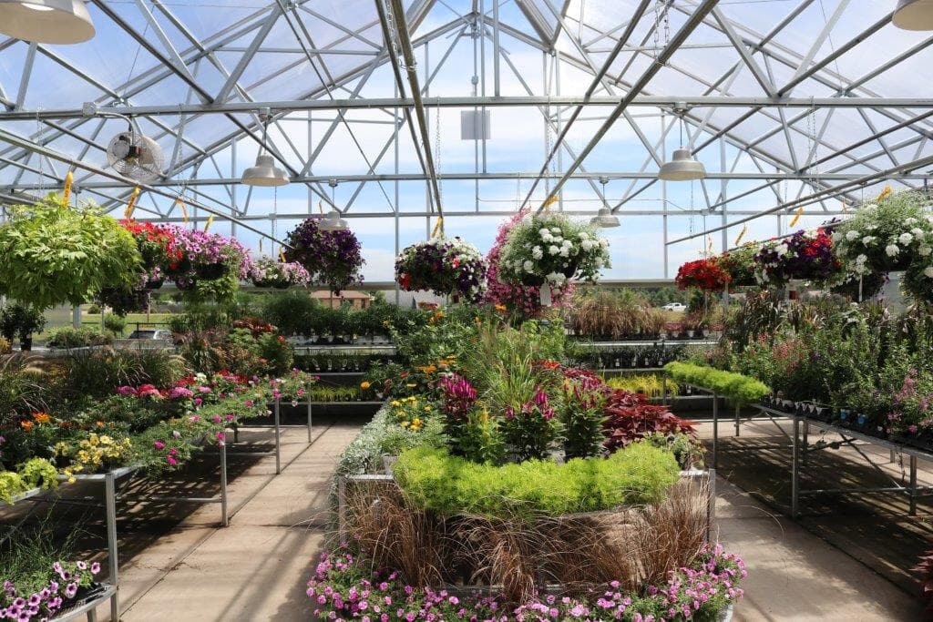 Down to Earth Garden Center