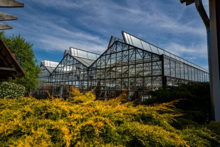 Vail Prospiant greenhouse with atrium ridge vent for ventilation