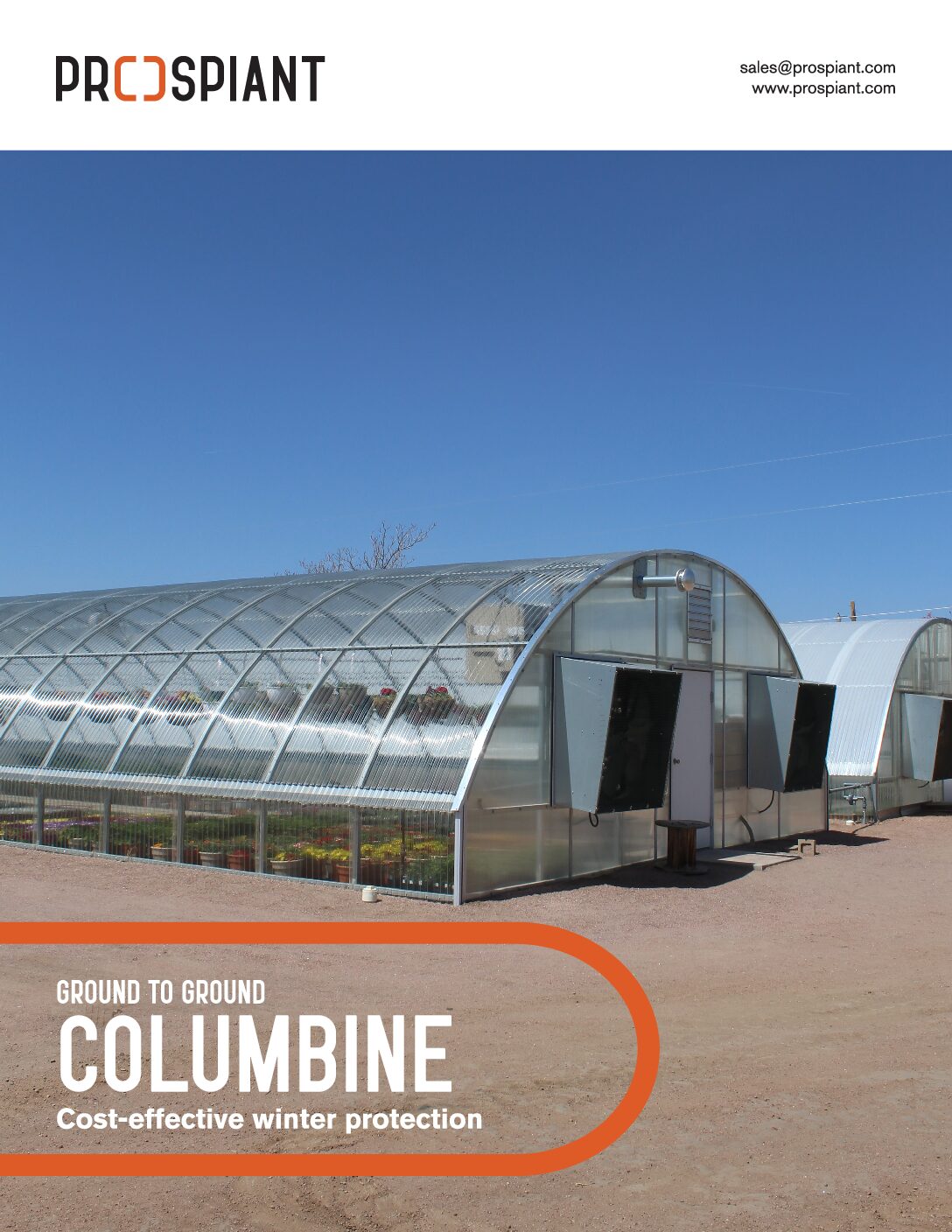 Columbine