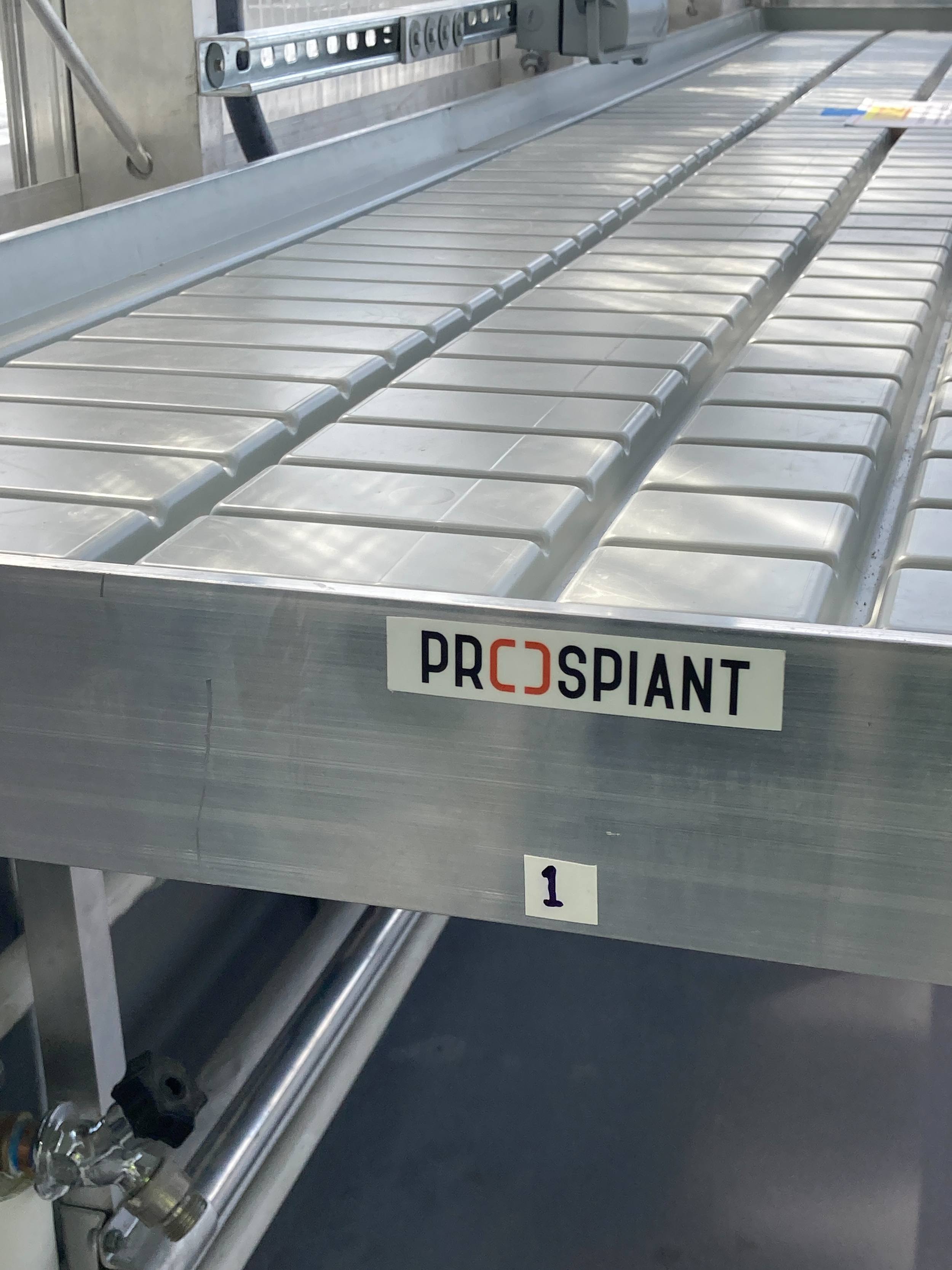 Benching system used in the Princeton research greenhouse