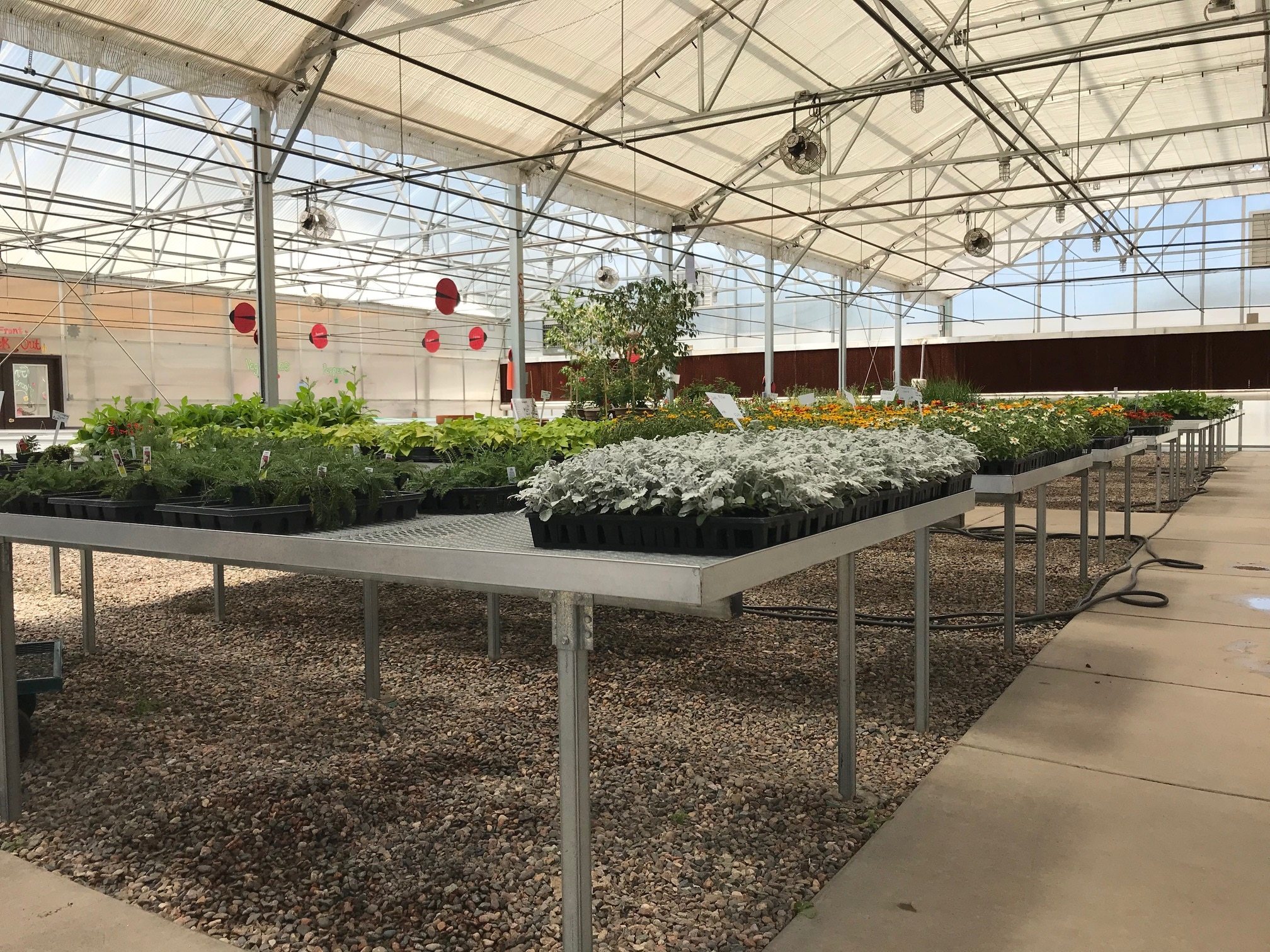 Stationary benches make perfect display benches in a retail setting