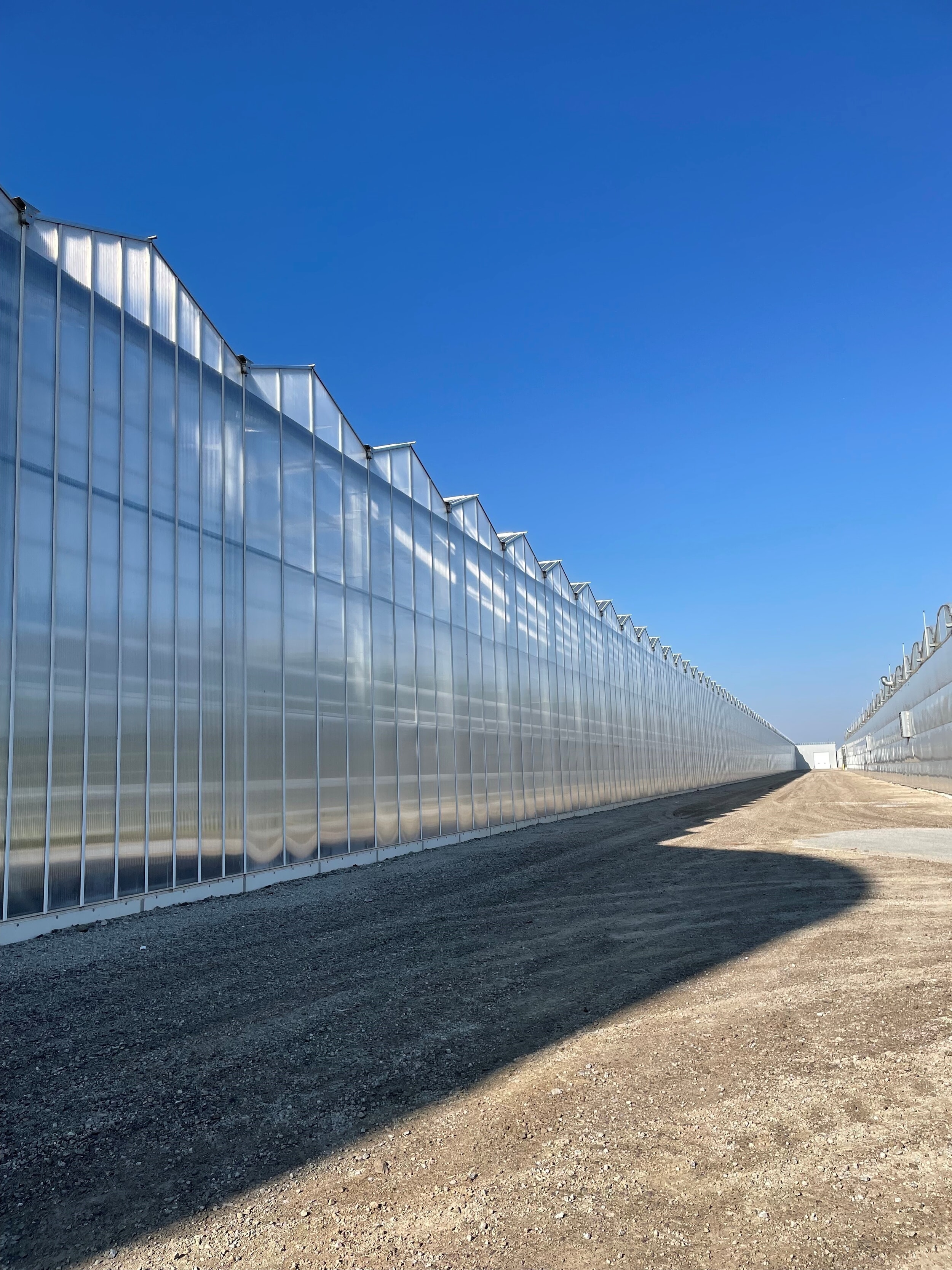 Venlo Greenhouse