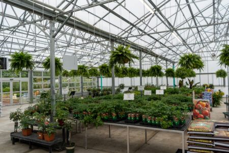 Vail a-frame greenhouse interior with overhead doors that open to a patio for events