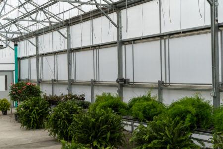 Lowes Greenhouse_Vail_aframe_Greenhouse99_side guillotine EDDG vent_side ventvent - Prospiant Guillotine side vents or EDDG vents in a Vail a-frame greenhouse allow for easy cross ventilation when its needed.