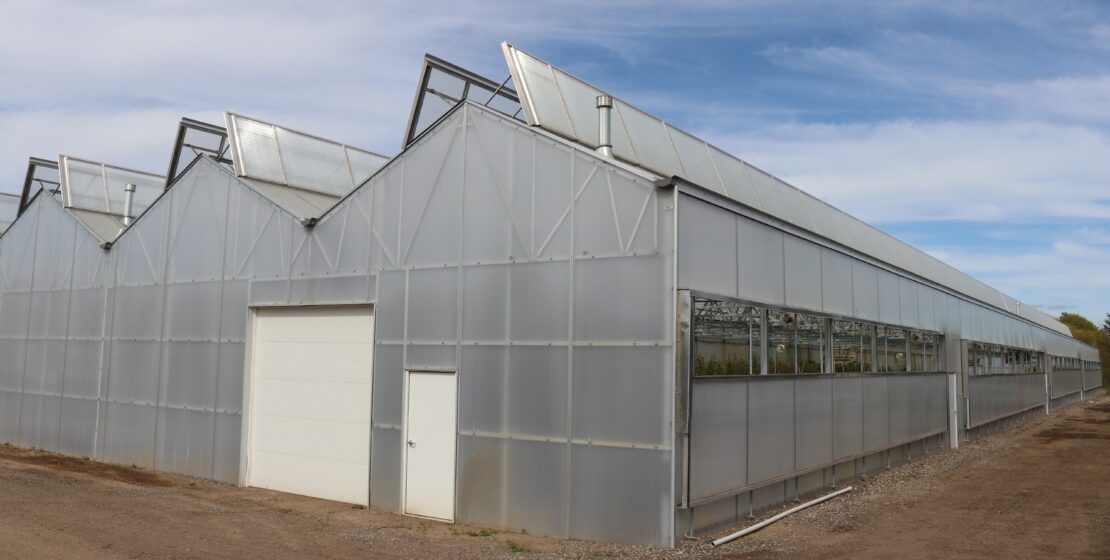 Goodmark Nursery - Dual Atrium - Prospiant The Dual Atrium greenhouses at Goodmark Nurseries have EDDG exterior drop-down guillotine vents to help with airflow and ventilation.