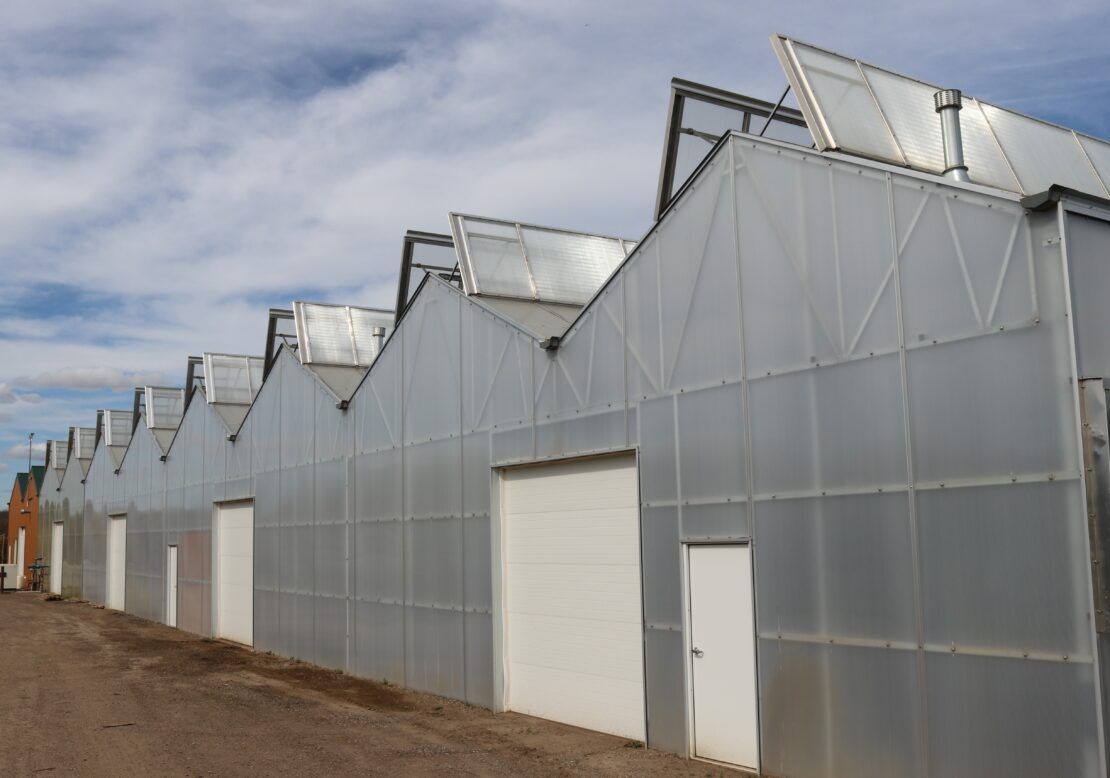 Goodmark Nursery - Dual Atrium 3 - Prospiant Prospiant built Goodmark’s greenhouse in two phases. A two-bay Dual Atrium structure went up in 2020, followed by additional bays in 2023.