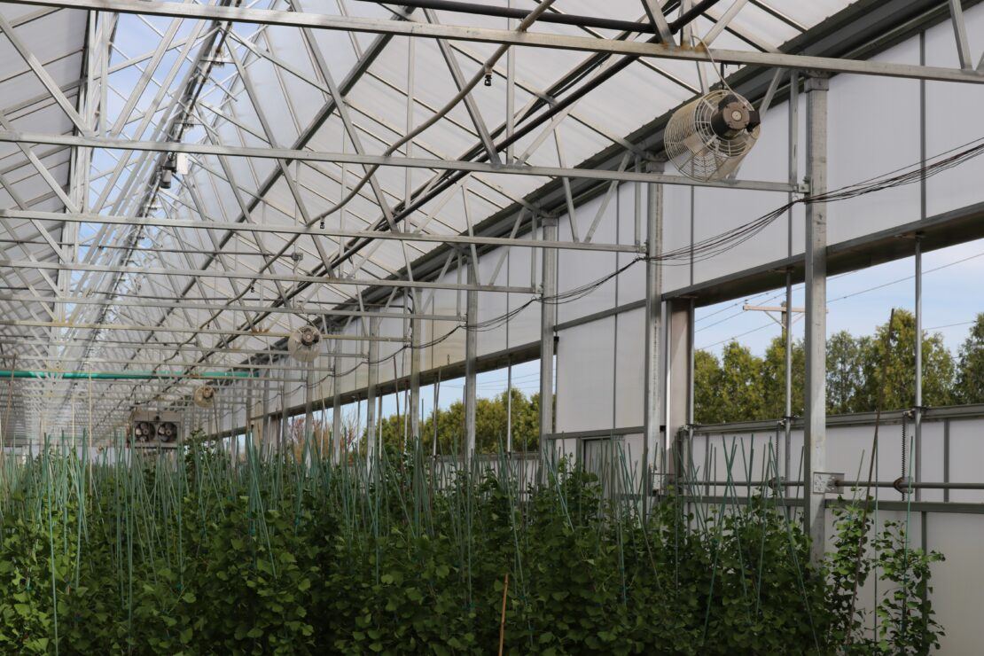 Goodmark Nursery - Dual Atrium 6 - Prospiant The double atrium roof vent opens upward and outward open upward and outward for air removal and to prevent heat build-up.