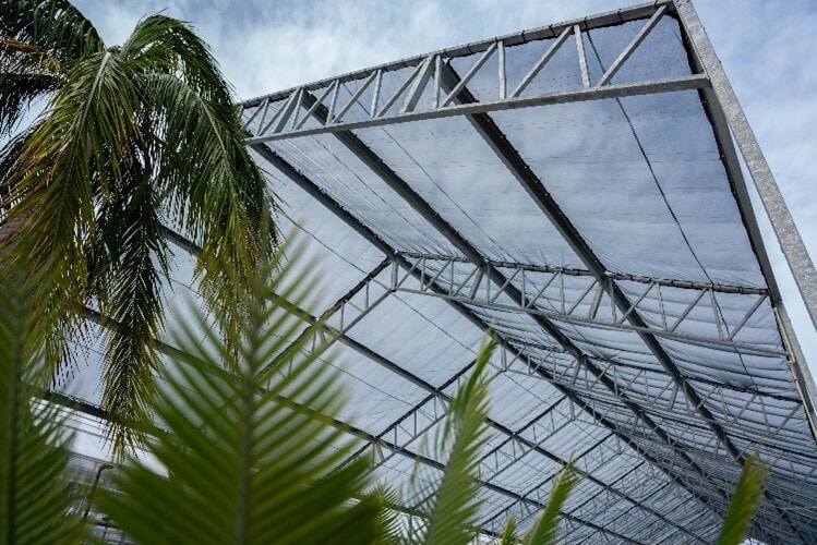 Ladder bar truss used on a shade structure