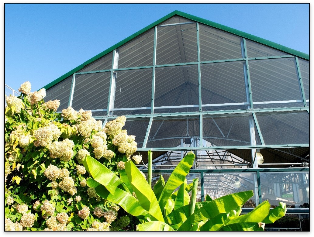 A clear view truss used on a greenhouse with glass glazing to create a high-end look.