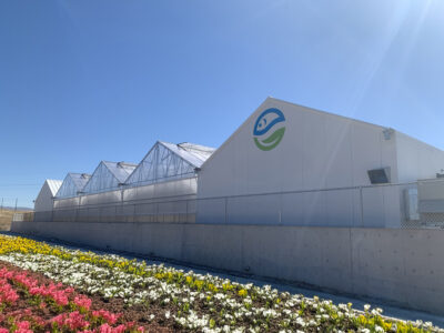 Aquaponics greenhouse operation with space for fish and plants.
