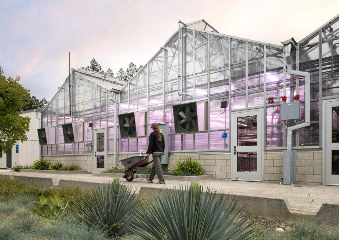 Merritt College Horticulture Complex3_educational gh_Aframe - Prospiant LED grow lights provide supplemental light when needed for the Merritt College greenhouses.